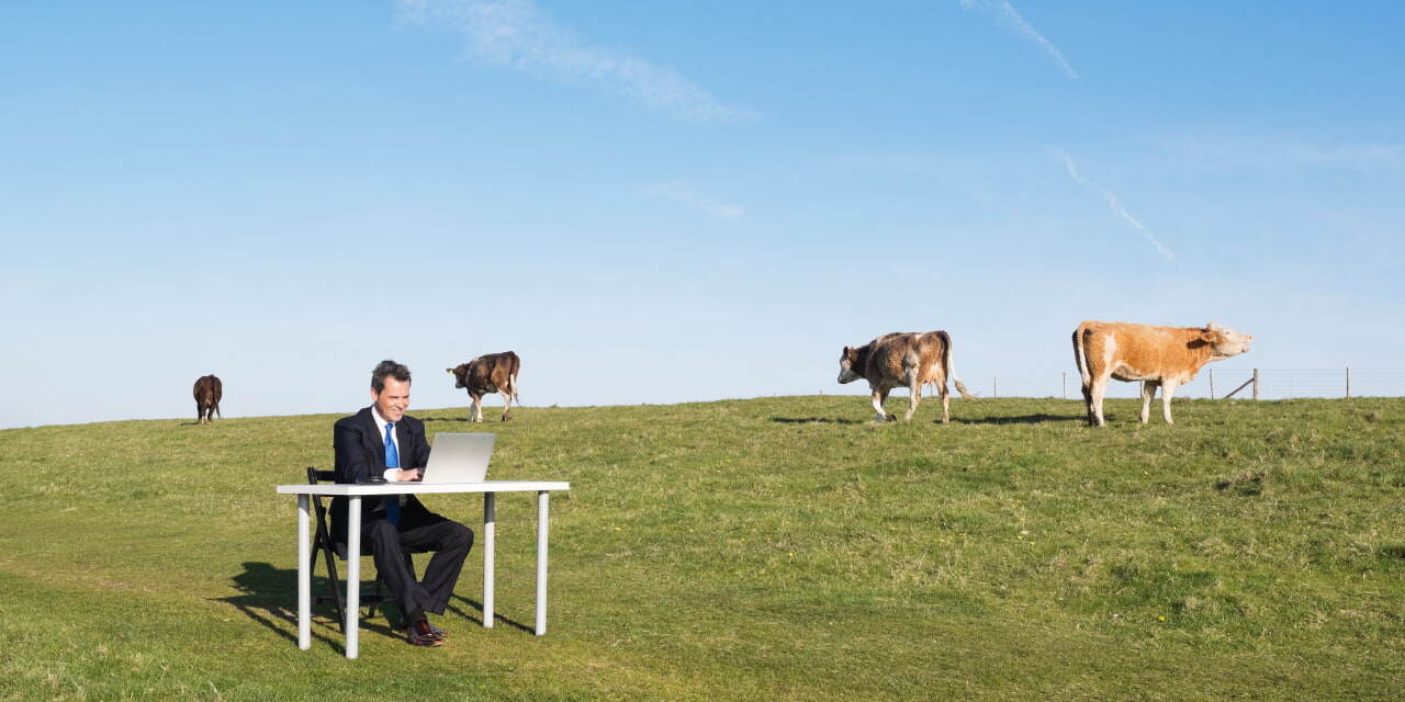 Animer une formation à distance - l’art de captiver derrière un ecran